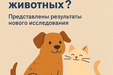 Как Казахстан заботится о бездомных животных? Представлены результаты нового исследования
